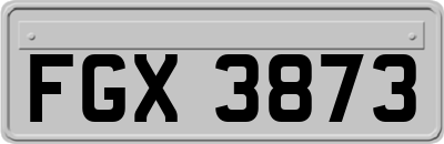 FGX3873