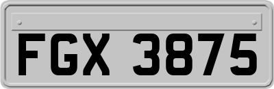 FGX3875