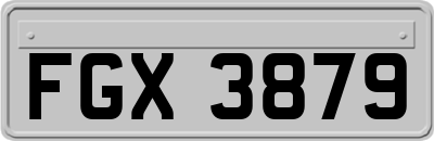 FGX3879