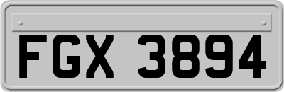FGX3894