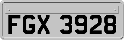 FGX3928
