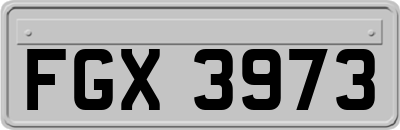 FGX3973