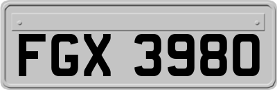 FGX3980