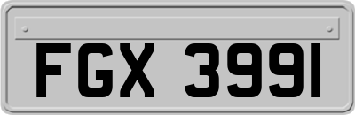 FGX3991