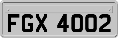 FGX4002