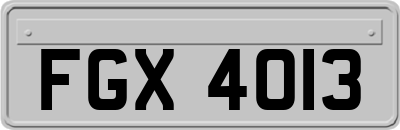 FGX4013