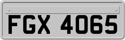 FGX4065