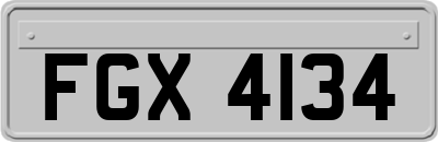 FGX4134