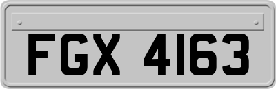 FGX4163