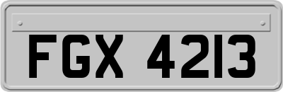 FGX4213