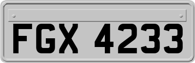 FGX4233