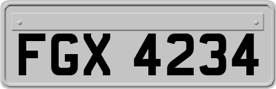 FGX4234