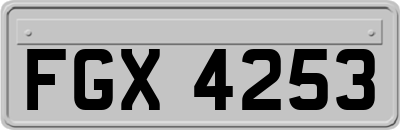 FGX4253