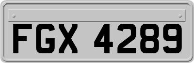 FGX4289