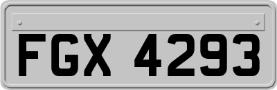 FGX4293