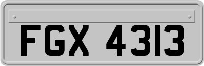 FGX4313
