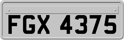 FGX4375
