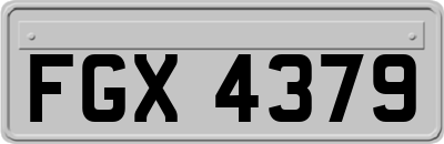 FGX4379