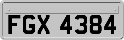 FGX4384