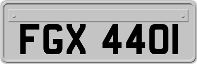 FGX4401
