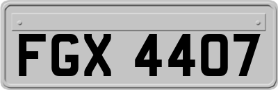 FGX4407