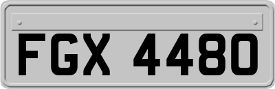 FGX4480