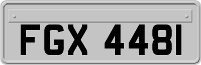 FGX4481