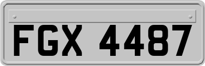 FGX4487