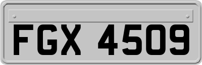 FGX4509