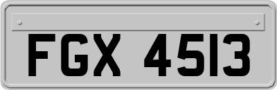FGX4513