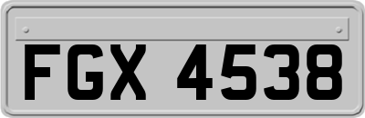 FGX4538