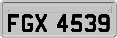 FGX4539