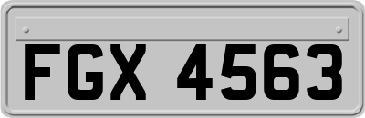 FGX4563