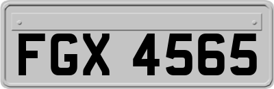 FGX4565