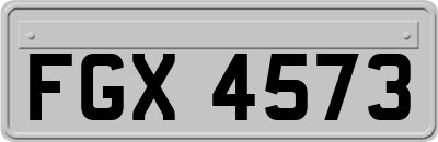 FGX4573