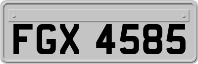 FGX4585