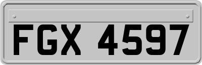 FGX4597