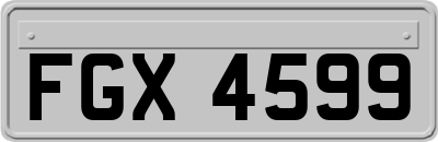 FGX4599