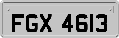 FGX4613