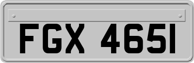 FGX4651