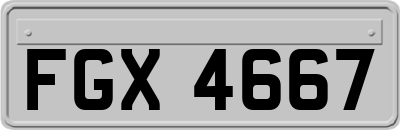 FGX4667