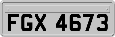 FGX4673
