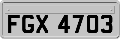 FGX4703