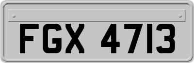 FGX4713