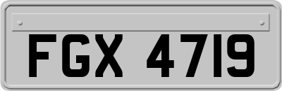 FGX4719