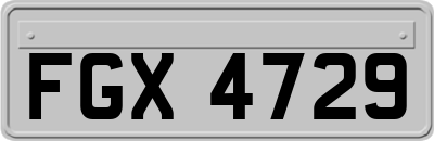 FGX4729