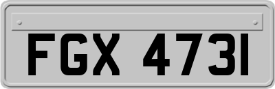 FGX4731