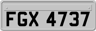 FGX4737