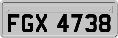 FGX4738