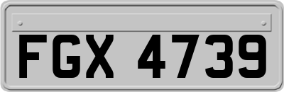 FGX4739